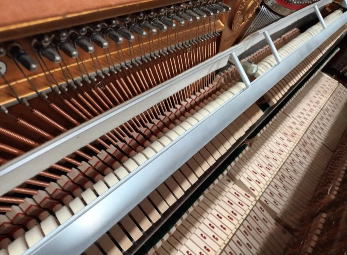 Young Chang | Very Compact | Smallest Dimensions - Image 3