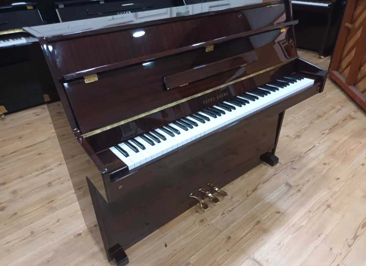 Young Chang | Very Compact | Smallest Dimensions - Image 4