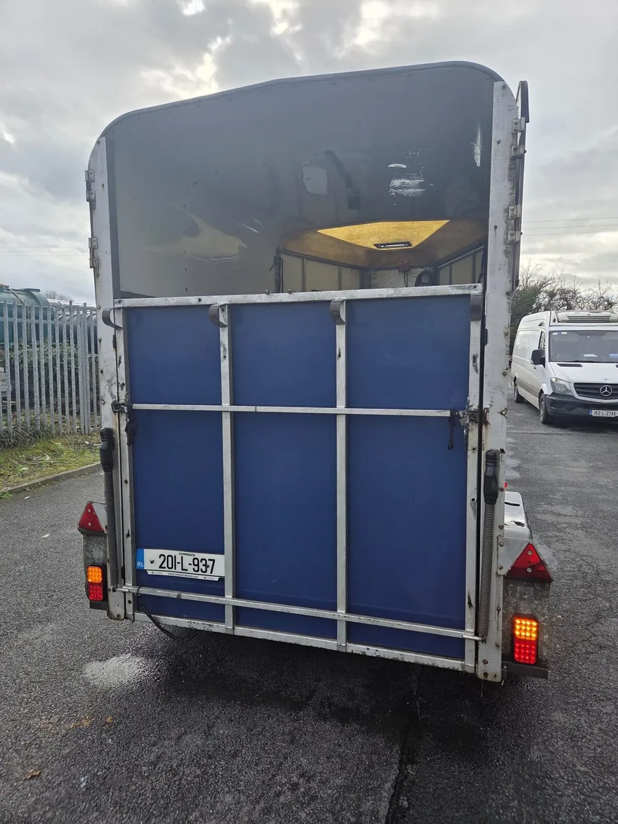Horse box HB510 - Image 3