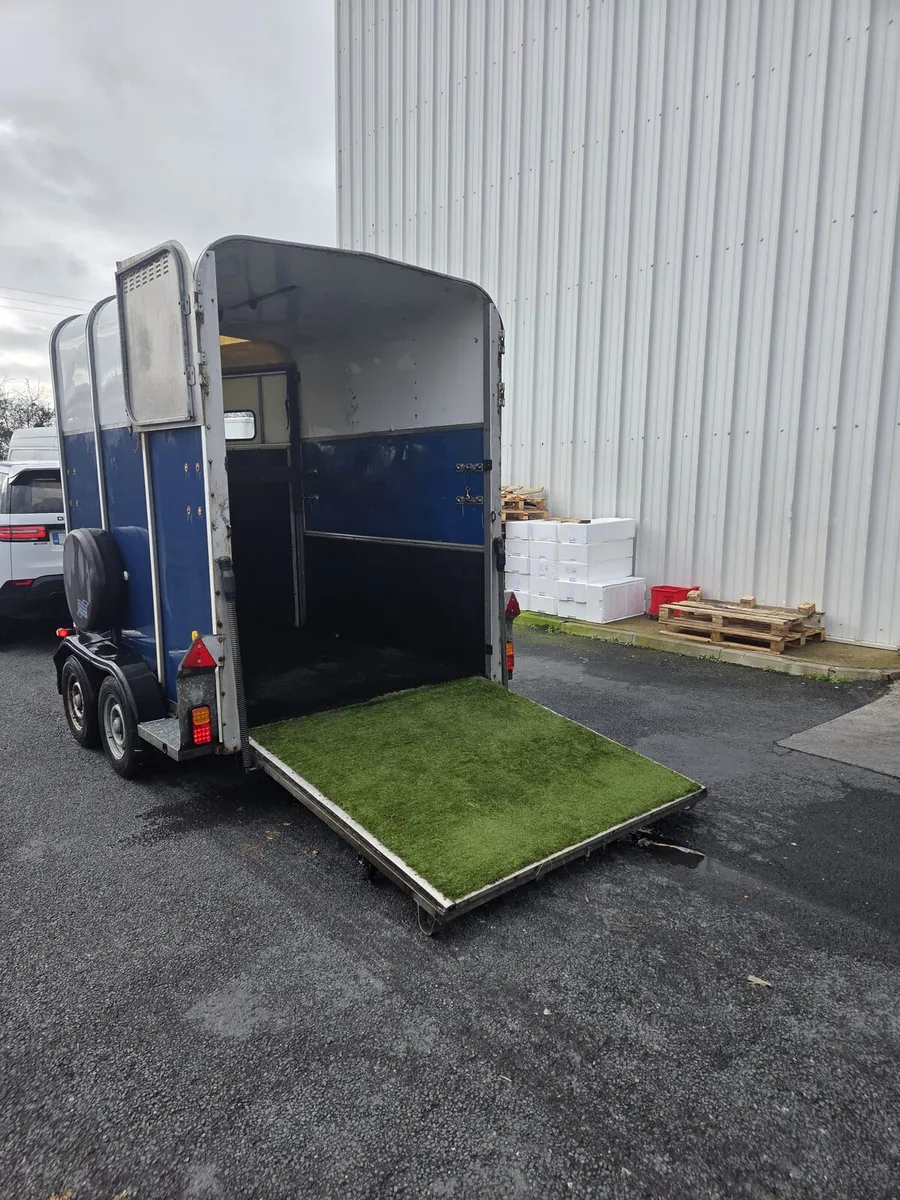Horse box HB510 - Image 4