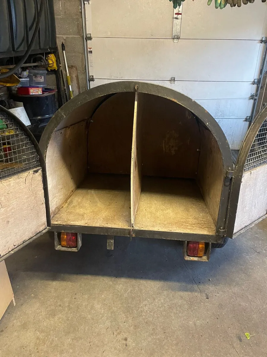 Dog Trailer Tipperary - Image 3