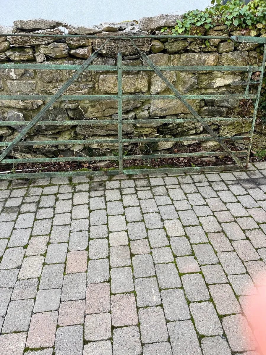 9’farm Gate wrought Iron - Image 2