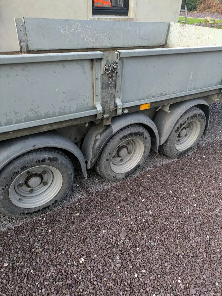 Ifor Williams - Image 2