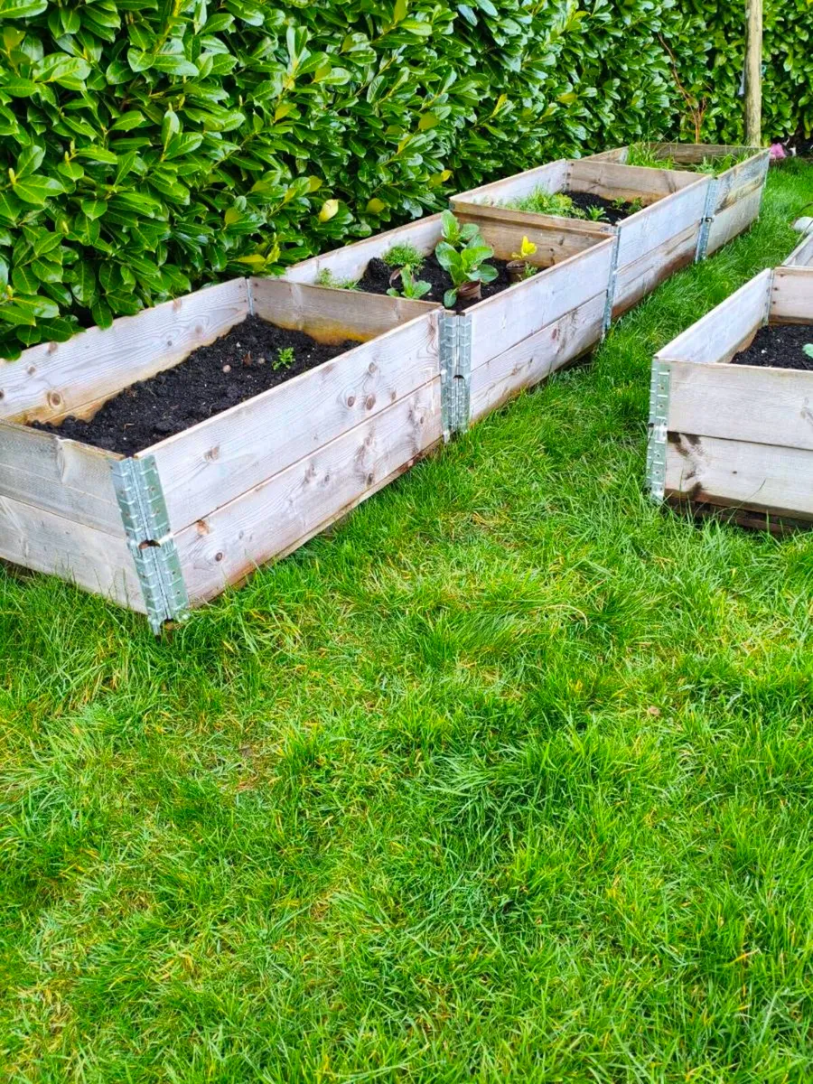 Raised flowerbeds - Image 1