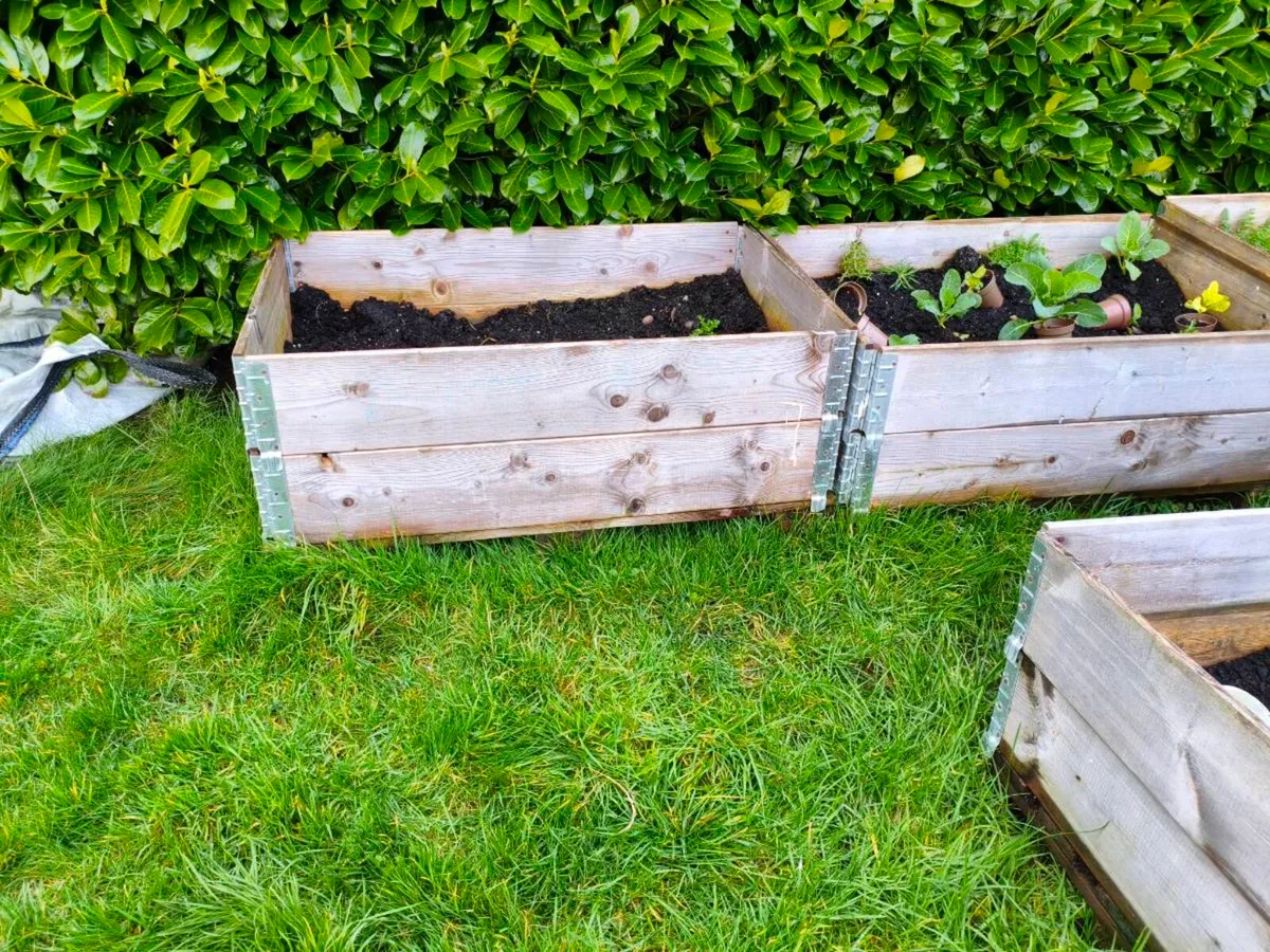 Raised flowerbeds - Image 2