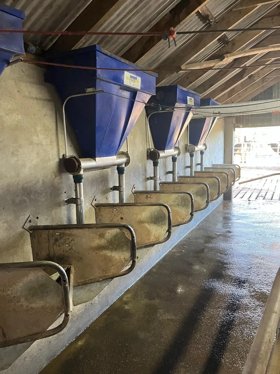 Dairy Master Manual Parlour Feeders - Image 2