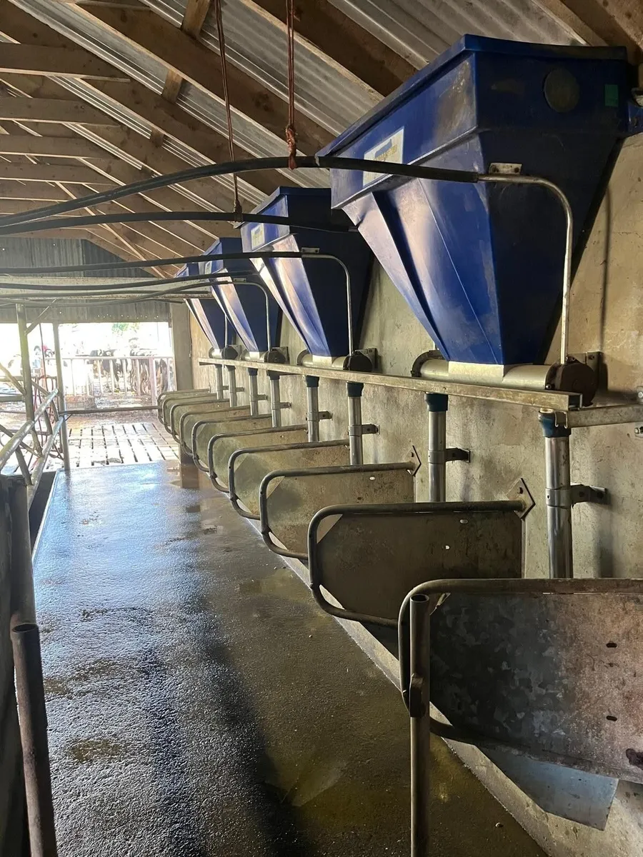 Dairy Master Manual Parlour Feeders - Image 3