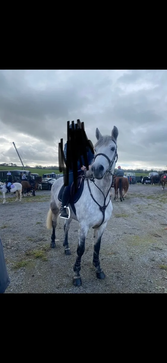 Connemara 15/3 - Image 1