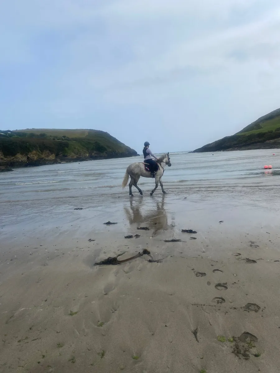 Connemara 15/3 - Image 2