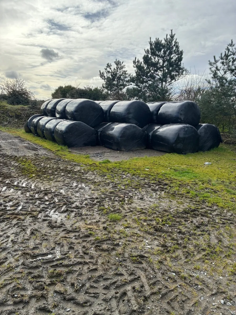 Silage Bales
