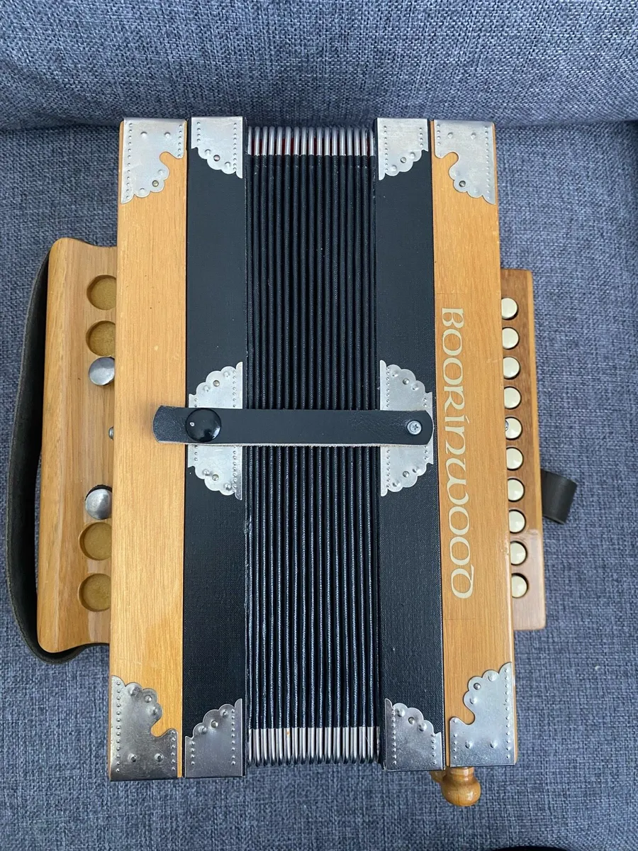 Accordions - Image 4