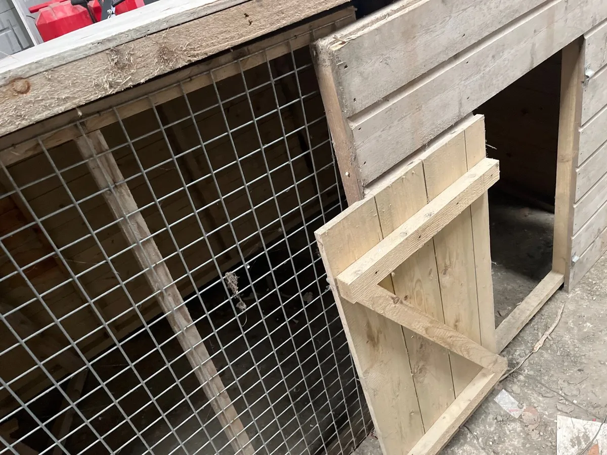 Dog kennel large - Image 2