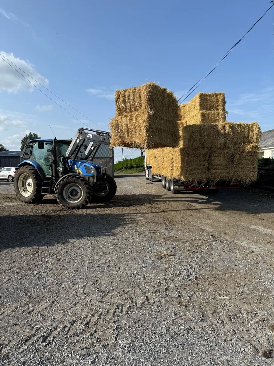 8x4x3 barley straw Athenry - Image 2