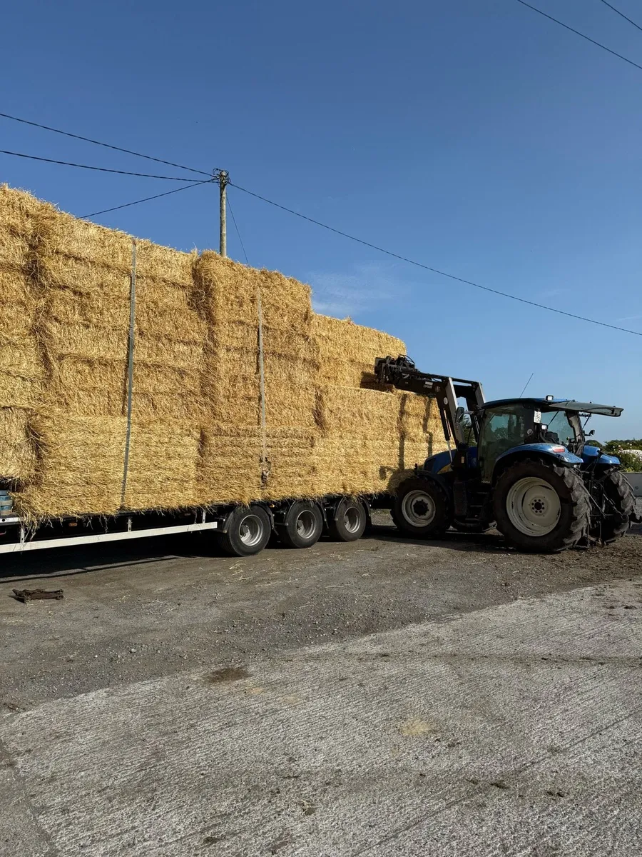 8x4x3 barley straw Athenry - Image 3