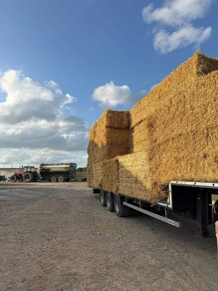 8x4x3 barley straw Athenry - Image 4