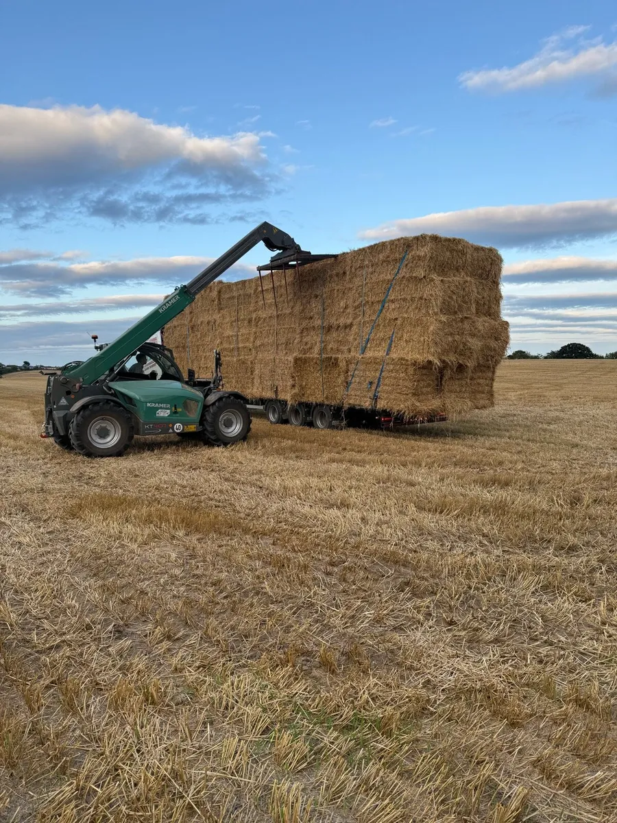 8x4x3 barley straw Athenry - Image 1
