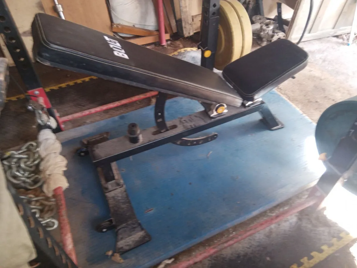 Olympic bumper plates set 295kg, bench, BBs etc - Image 2