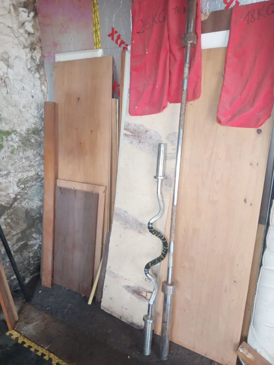 Olympic bumper plates set 295kg, bench, BBs etc - Image 4