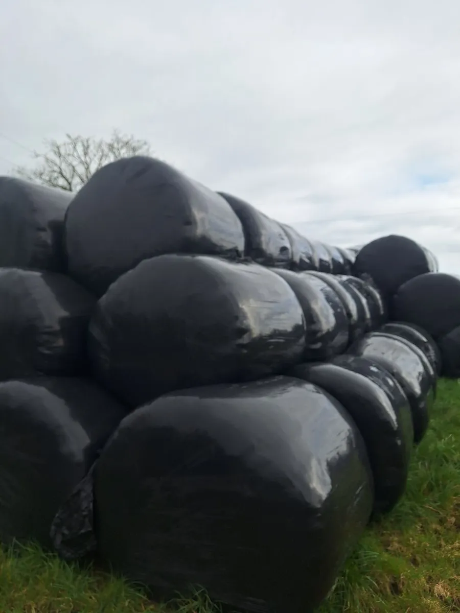 Silage Bales - Image 1