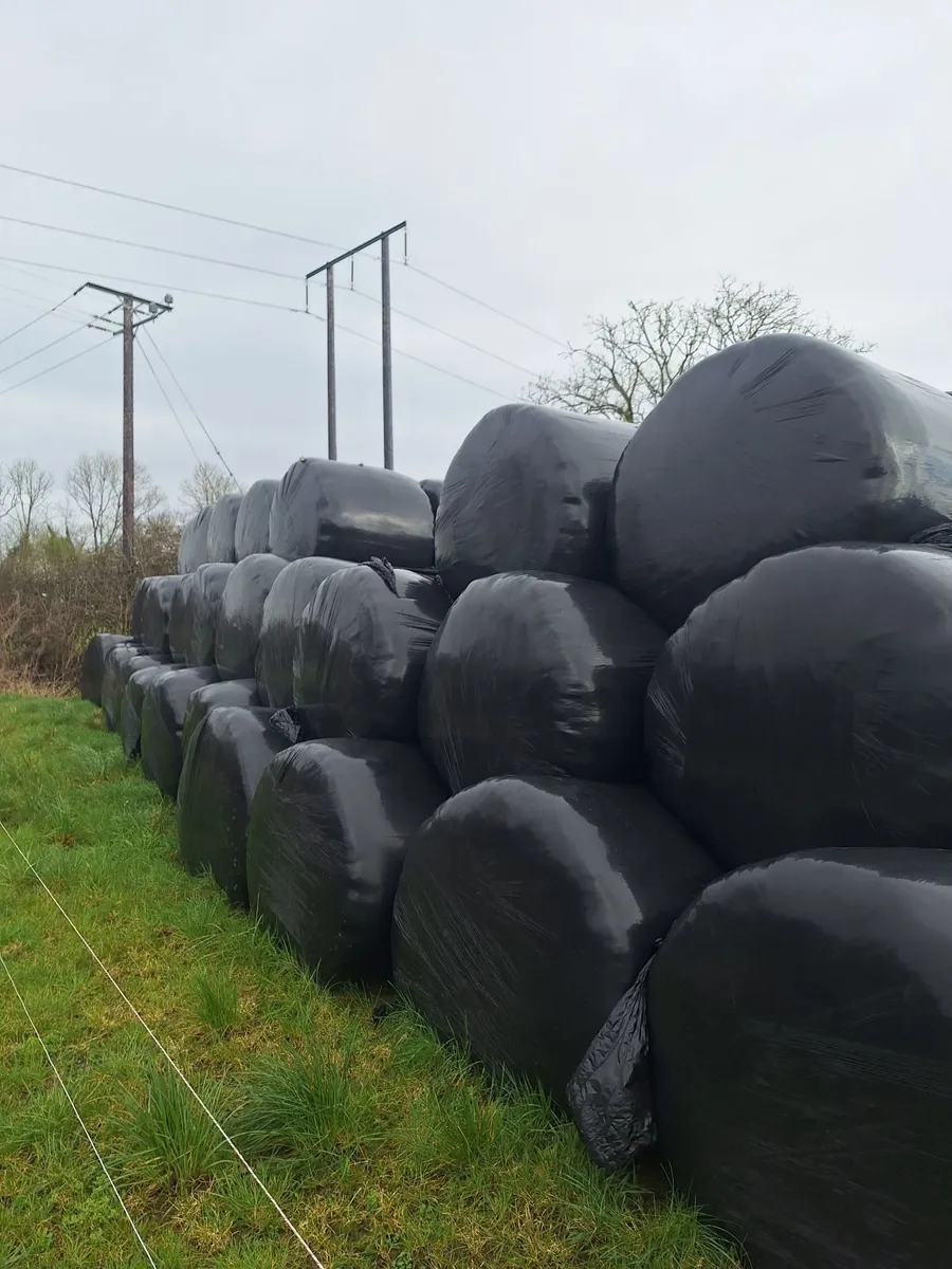 Silage Bales - Image 2