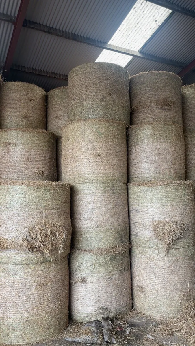 Straw for sale - Image 2