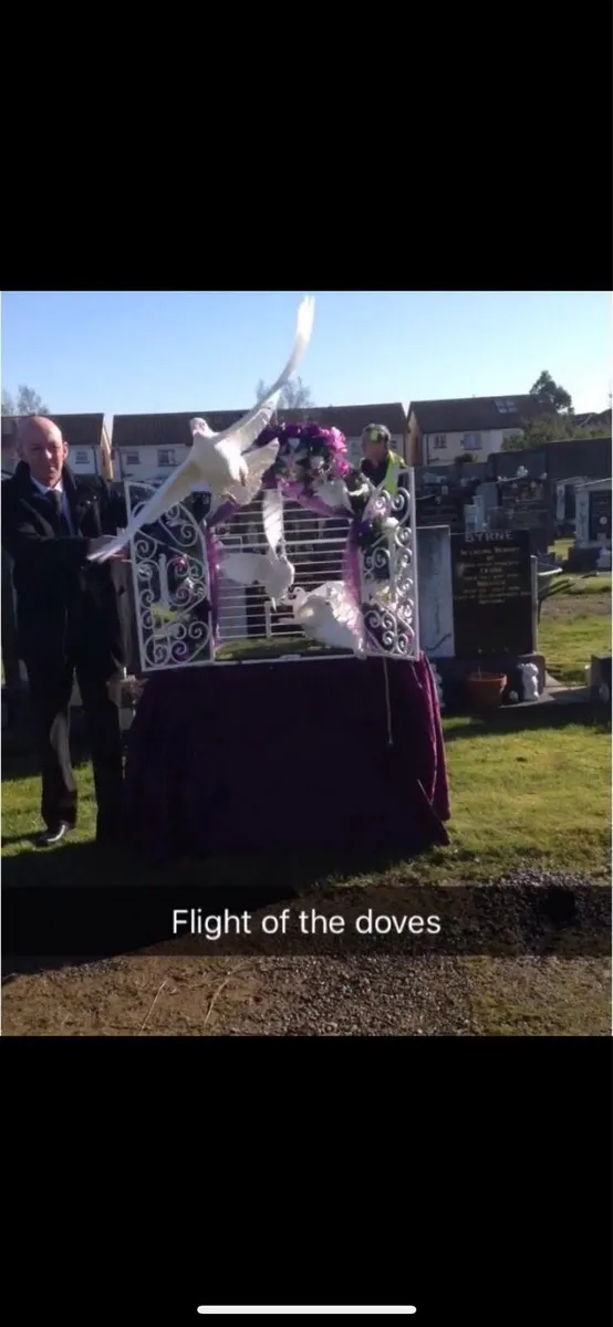 Funeral doves - Image 2