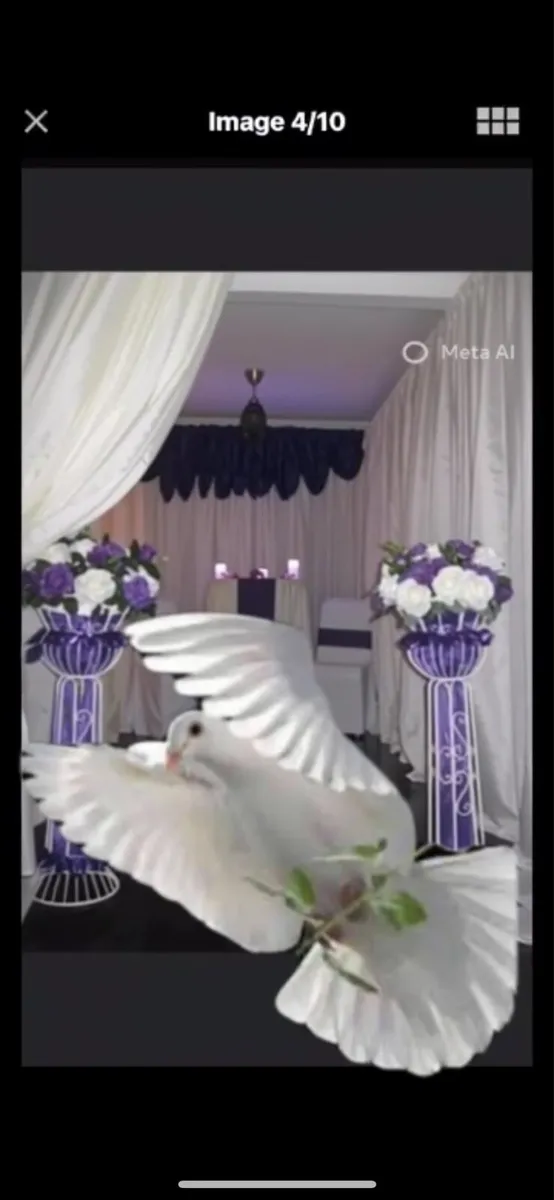 Funeral doves - Image 3