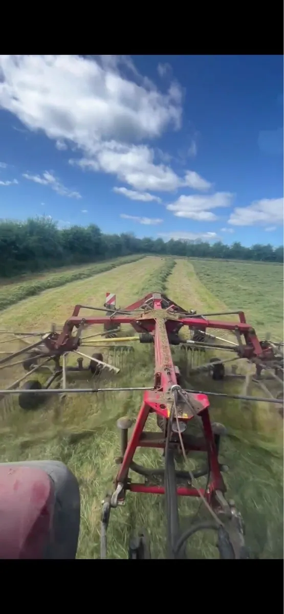 Massey Ferguson rake - Image 3