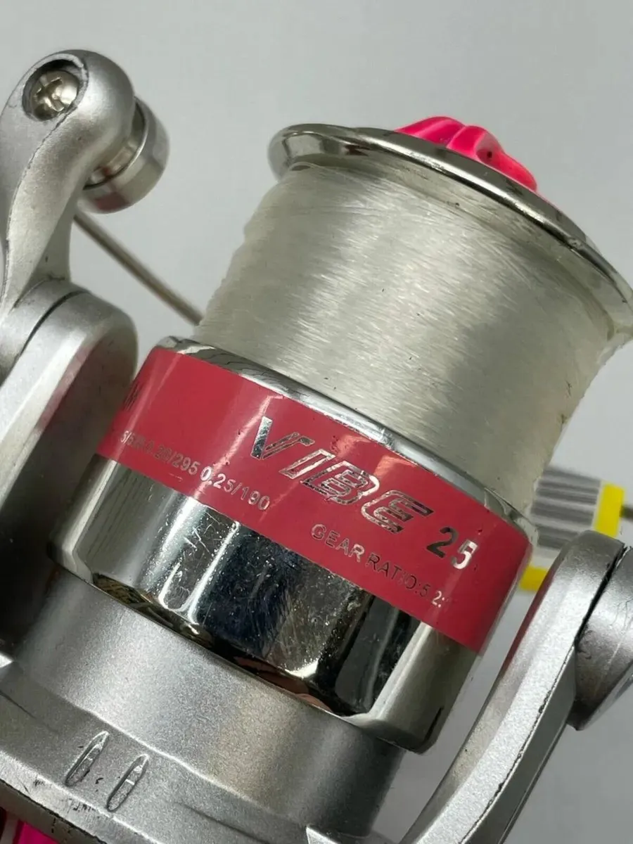 Dam Vibe Reel - Image 1