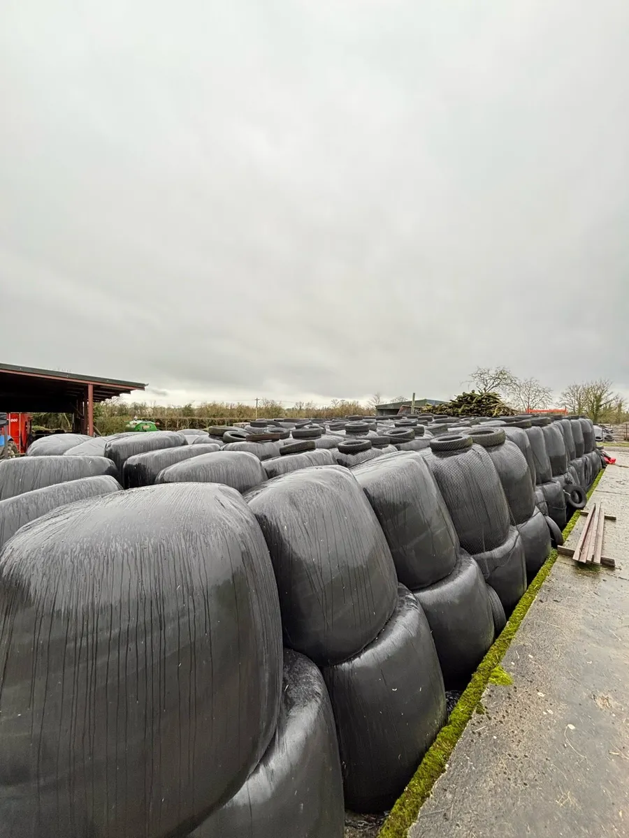 Quality Silage Bales - Image 2