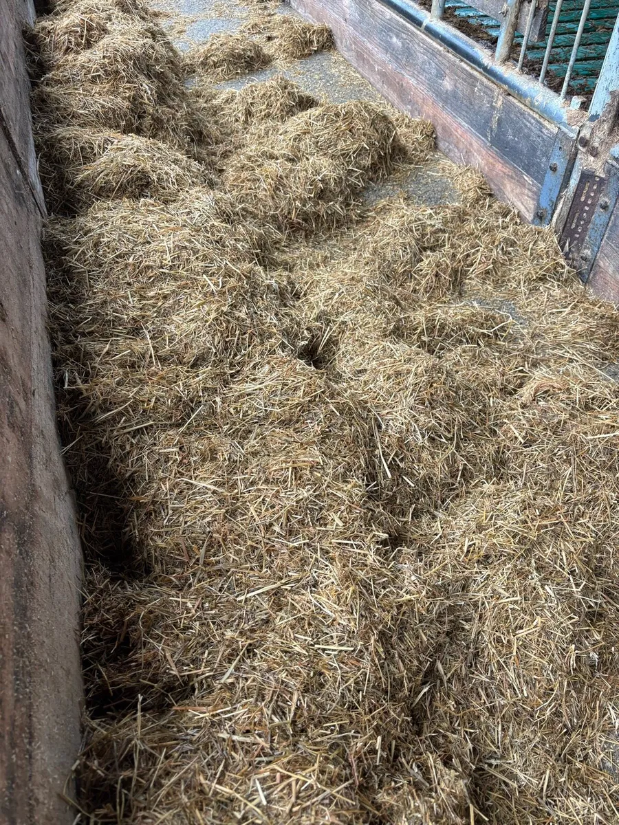 Quality Silage Bales - Image 3