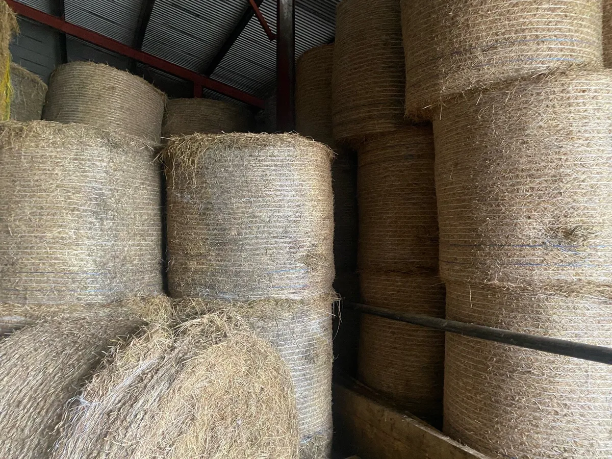 Hay and haylage - Image 1