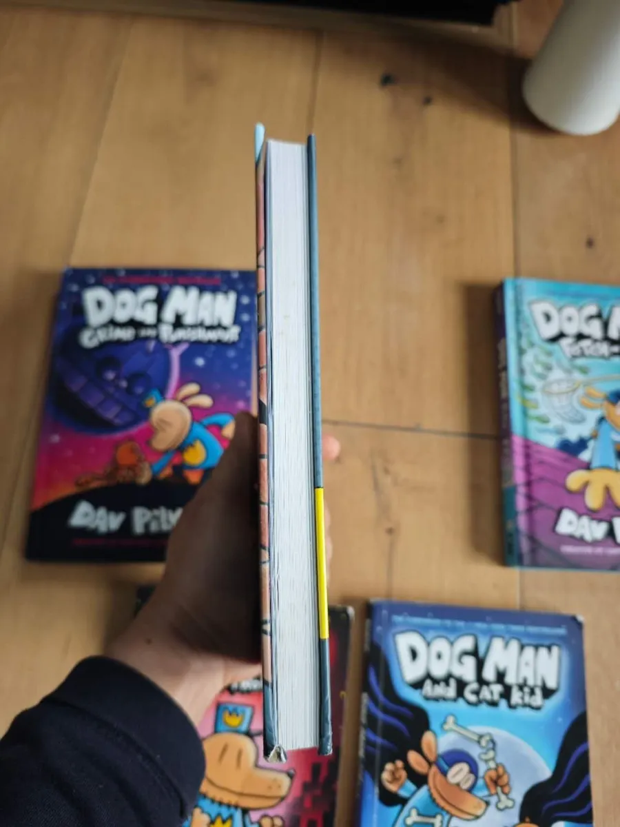 5 used books, dog man, free post in ireland - Image 2