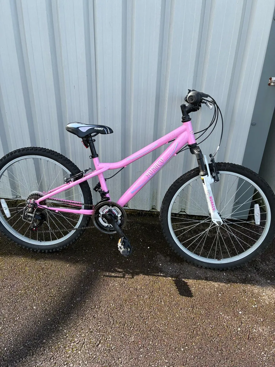 Girls 24” Bike