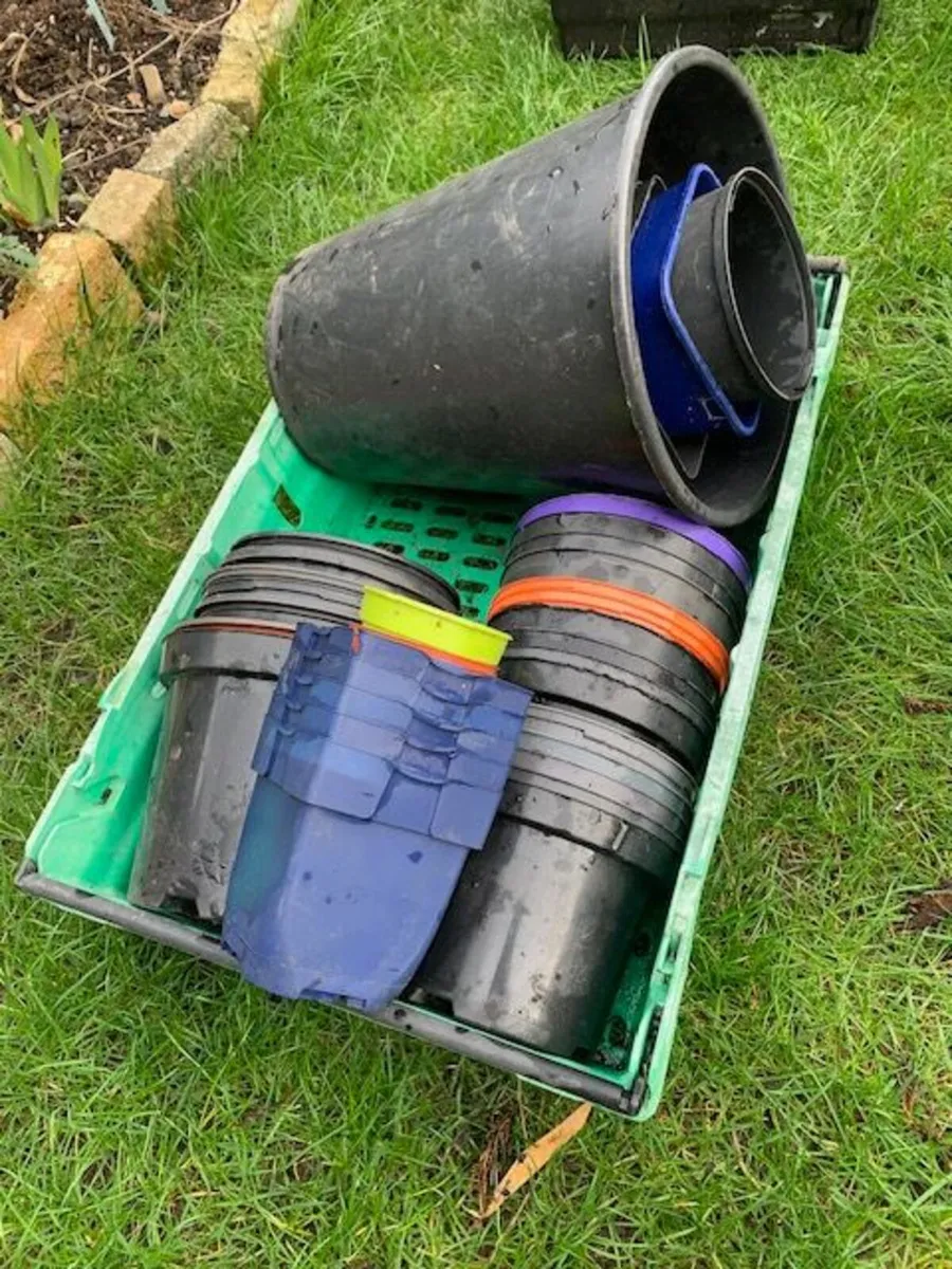 Free Garden Pots