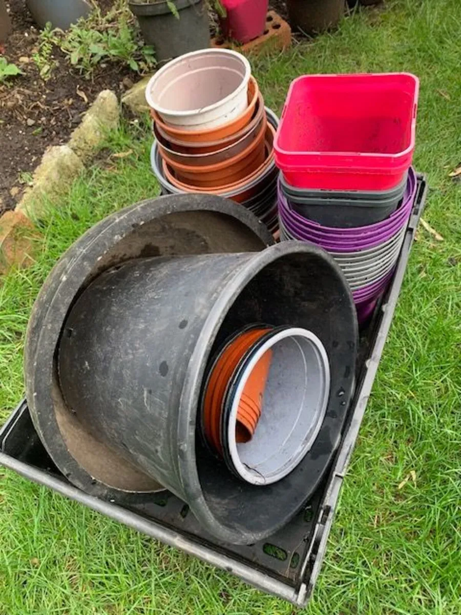 Free Pots