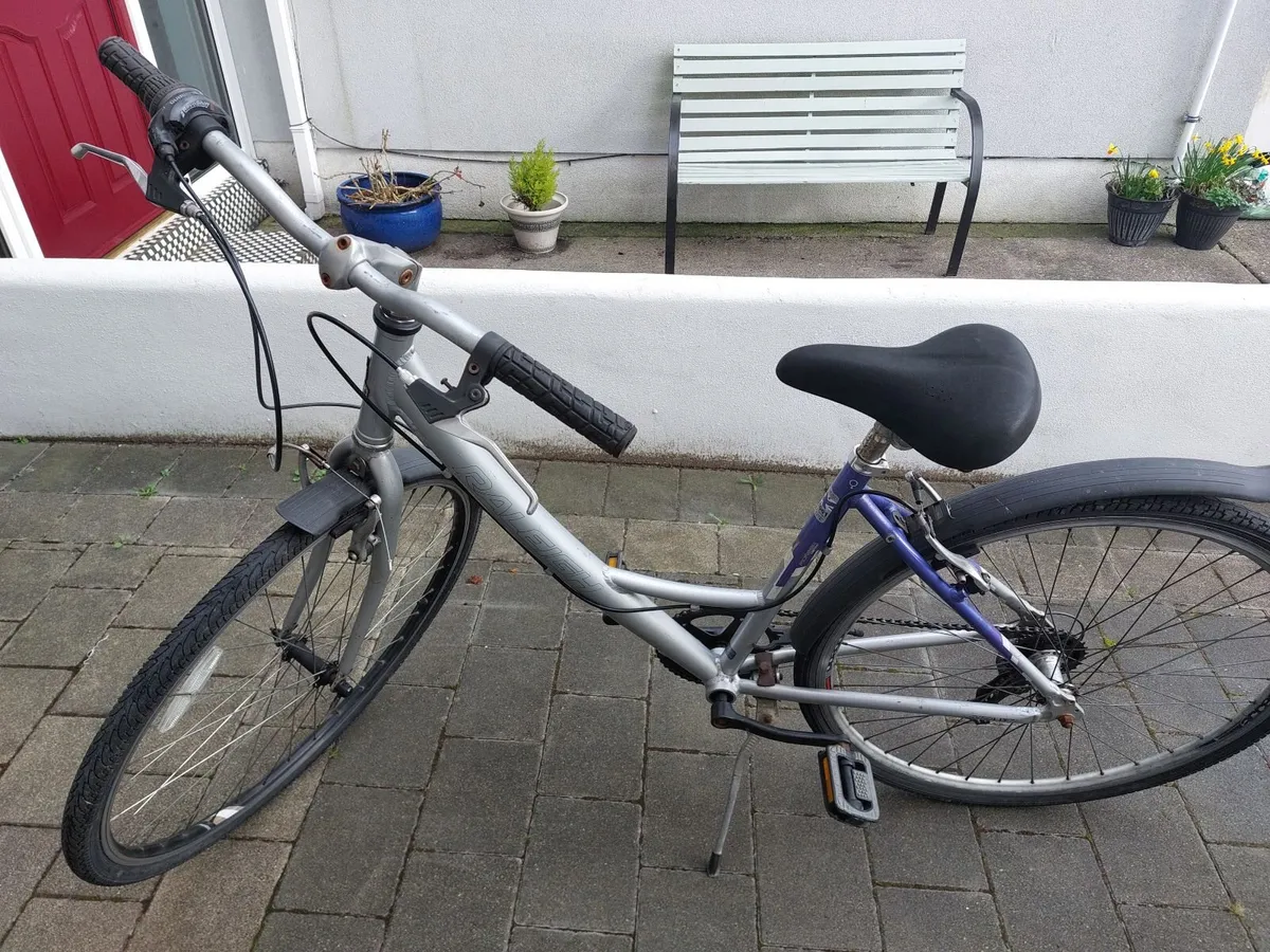 Ladies Bicycle - Image 3