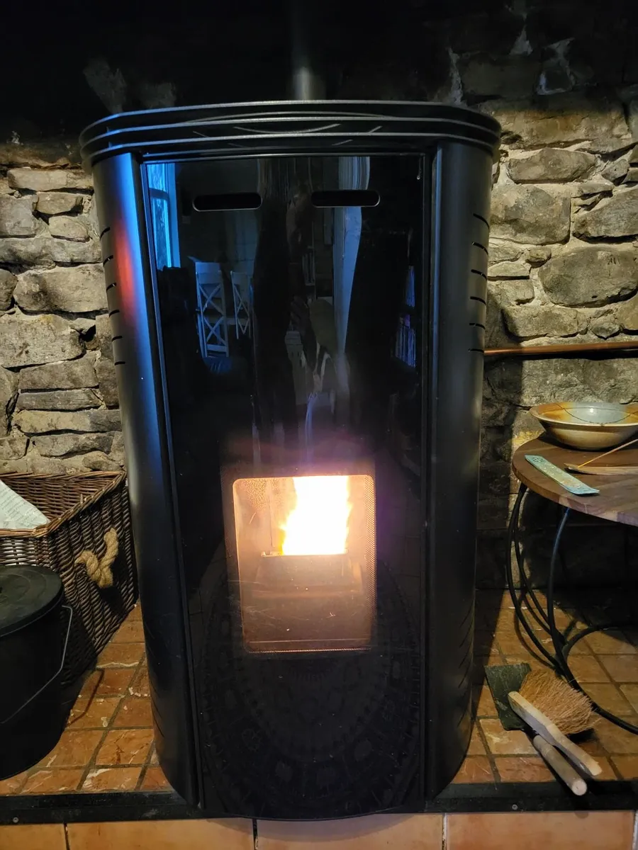 Stove and pellet Boiler - Image 1