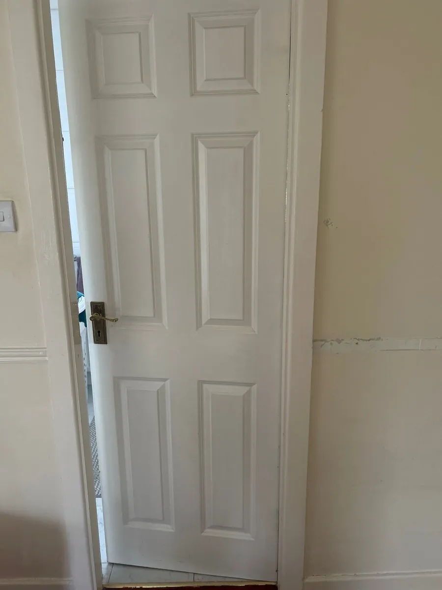 Door (internal) - Image 1