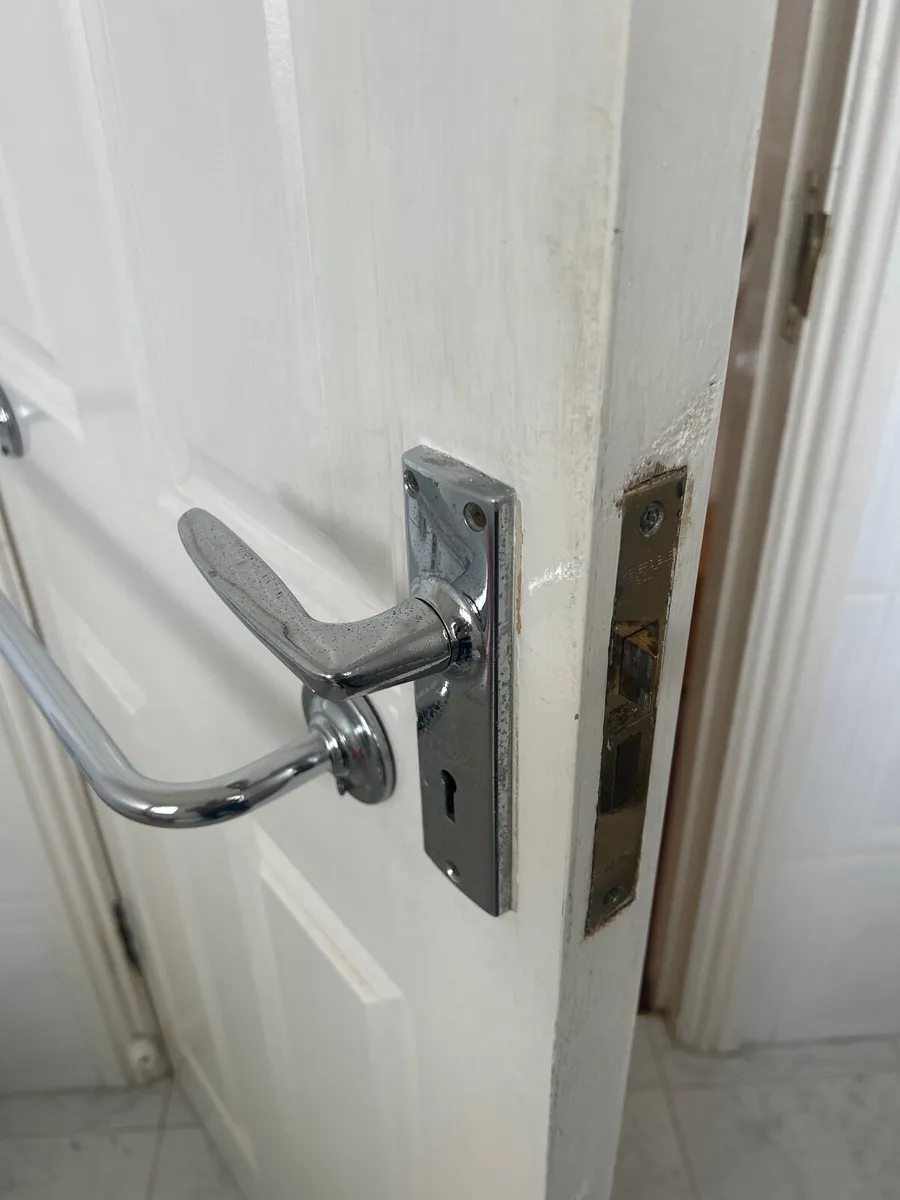 Door (internal) - Image 3