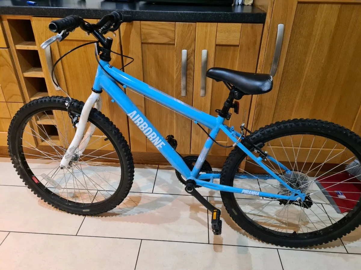 24" BICYCLE - Image 1