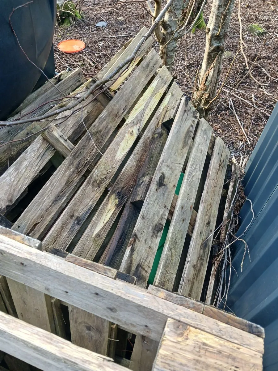 Pallets free - Image 3