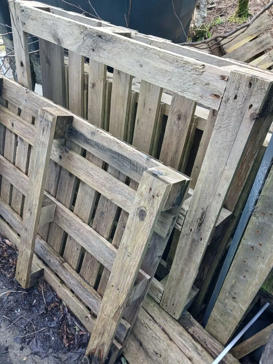 Pallets free - Image 2