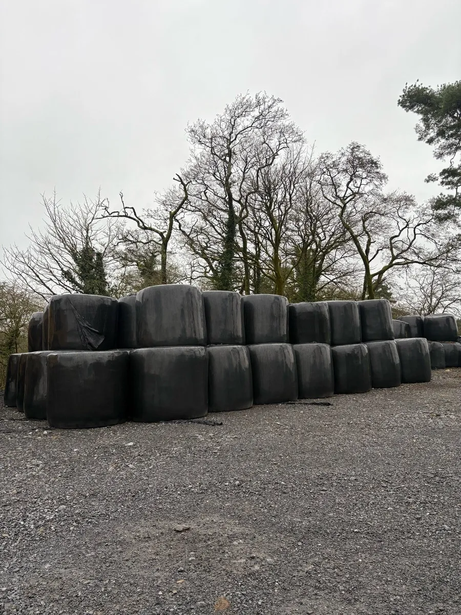 Silage bales - Image 1