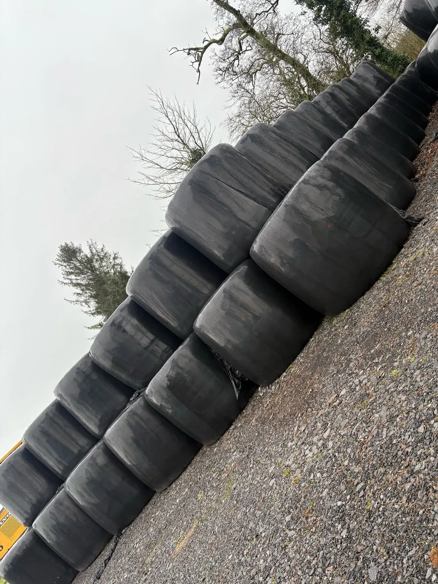 Silage bales - Image 2