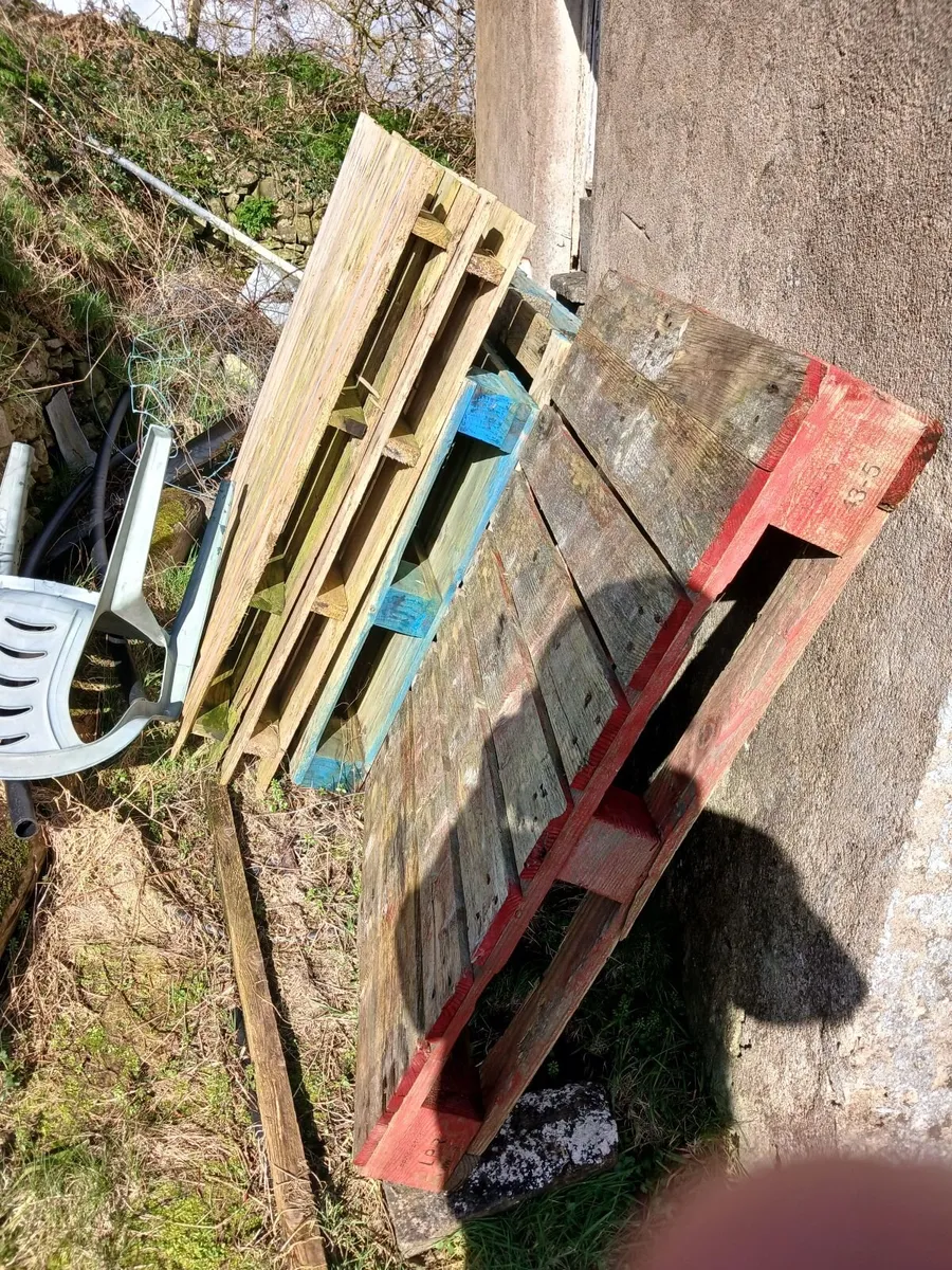 Pallets free - Image 1