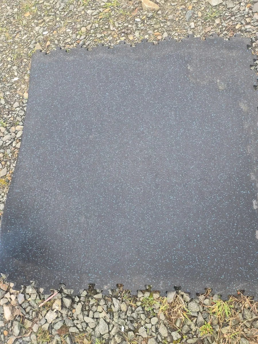 Gym mats and floor mats - Image 1