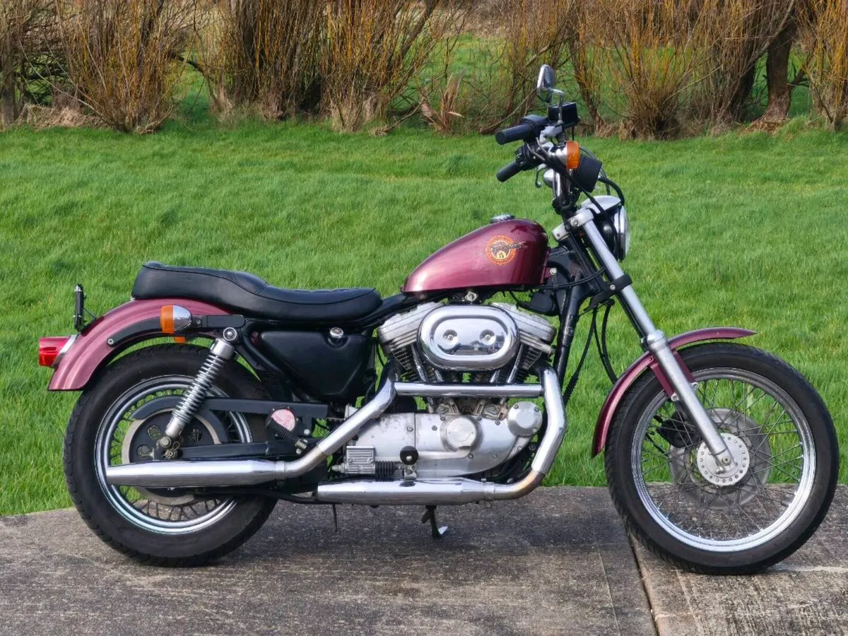 92 Harley-Davidson 883 Sportster - Image 1