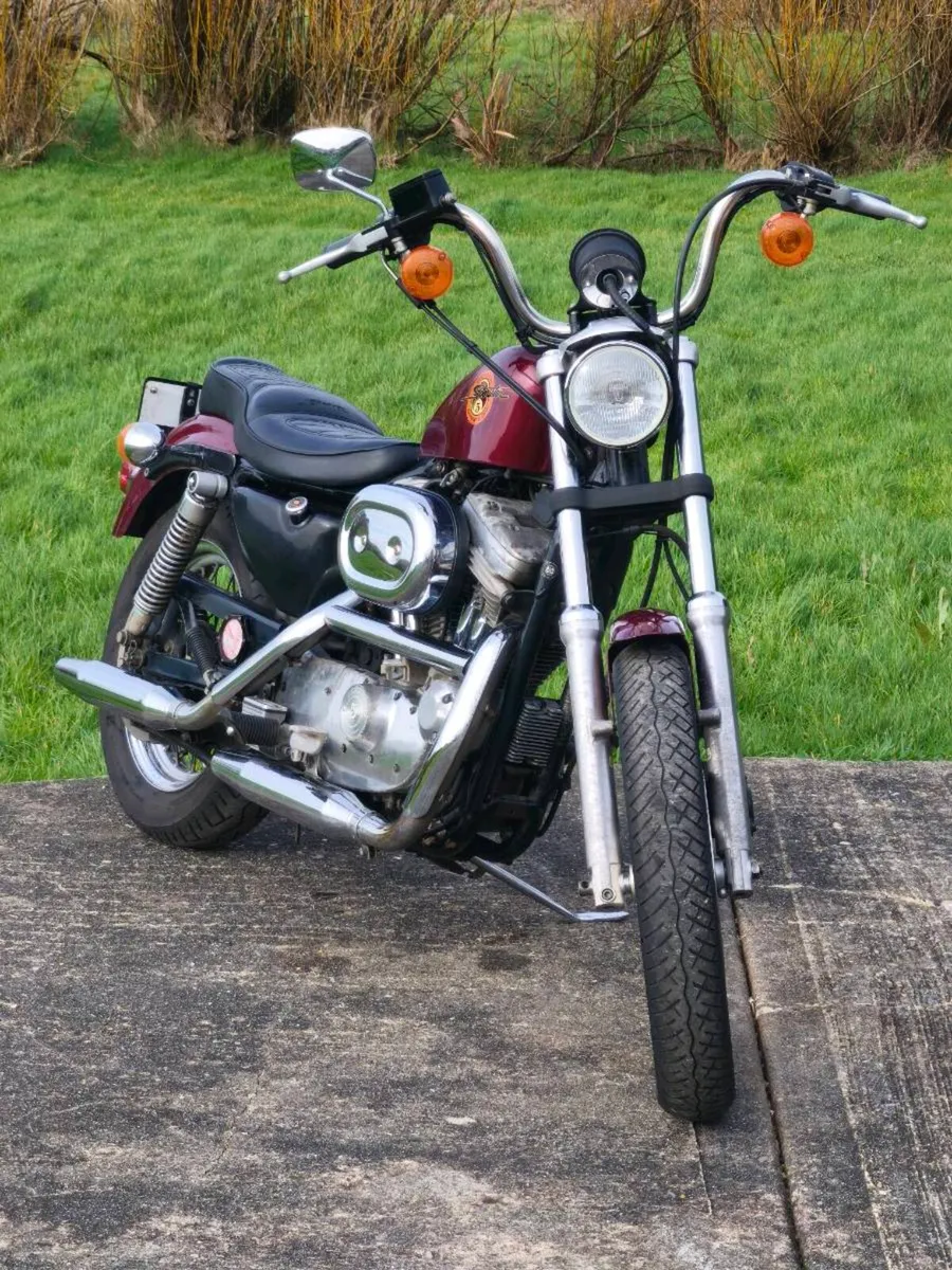 92 Harley-Davidson 883 Sportster - Image 3