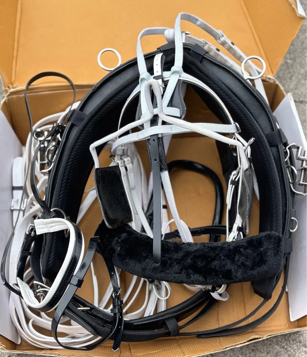 New set Elite harness - Image 3